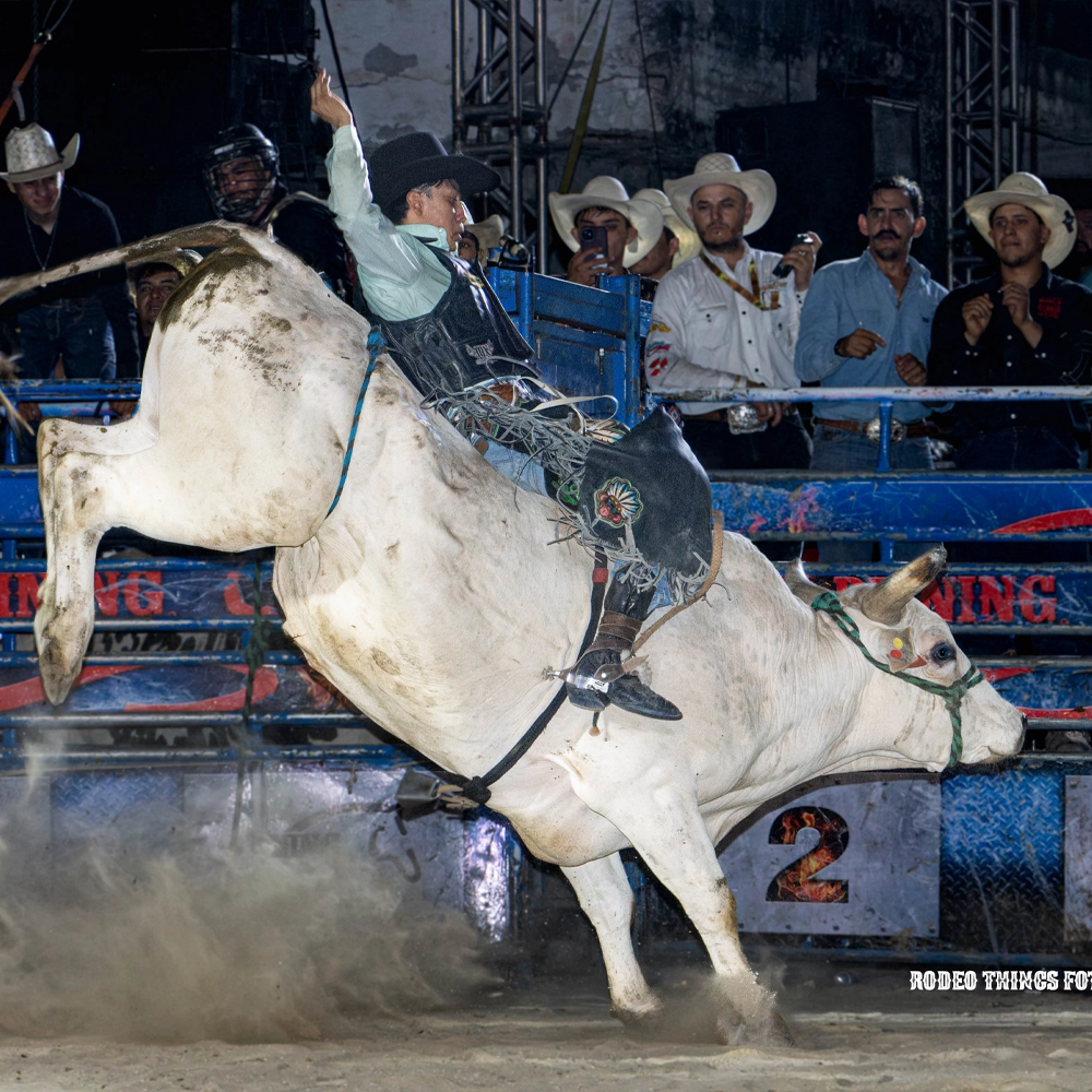 El Legado del Rodeo Tombstone: Tradición y Modernidad en un Espectáculo Mundial